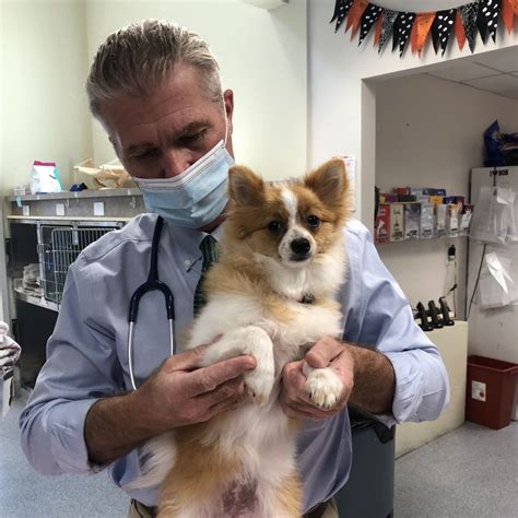 Beach pet hospital - If you think your pet has eaten something poisonous: Call us at (843) 272-8121 immediately! If after hours, contact the ASPCA Animal Poison Control Center ’s 24-hour hotline at (888) 426-4435. Trained toxicologists will consider the age and health of your pet, what was ingested, and then make a recommendation about what action should be taken.